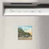 EUSTIS, FL - 1925 - Magnolia Ave. Magneet (Insitu (Vaatwasser))