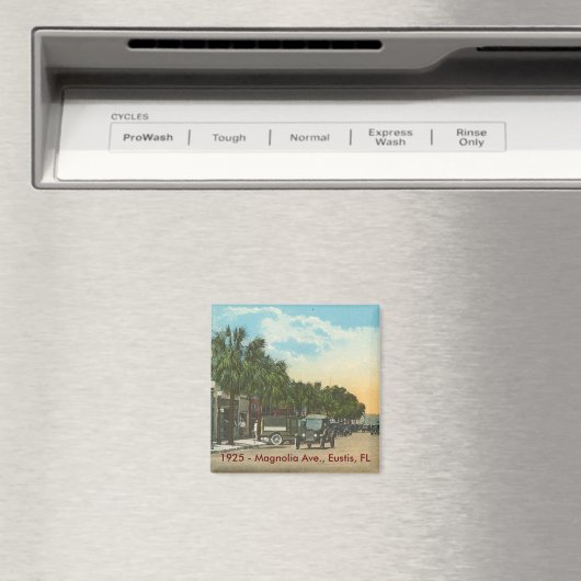 EUSTIS, FL - 1925 - Magnolia Ave. Magneet (Insitu (Vaatwasser))