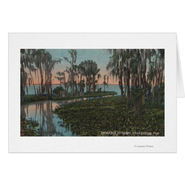 Eustis, Florida - Uitzicht van het Swampy Canal (Voorkant Horizontaal)