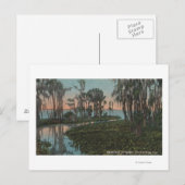 Eustis, Florida - Uitzicht van het Swampy Canal Briefkaart (Voorkant / Achterkant)