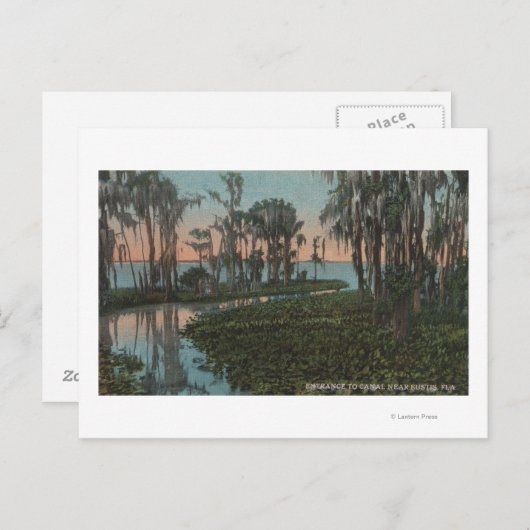 Eustis, Florida - Uitzicht van het Swampy Canal Briefkaart (Voorkant / Achterkant)