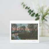 Eustis, Florida - Uitzicht van het Swampy Canal Briefkaart (Staand voorkant)