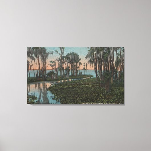 Eustis, Florida - Uitzicht van het Swampy Canal Canvas Afdruk (Voorkant)