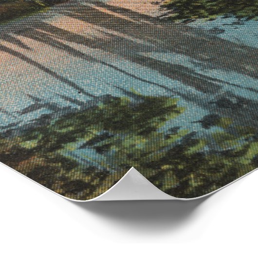 Eustis, Florida - Uitzicht van het Swampy Canal Poster (Hoek)