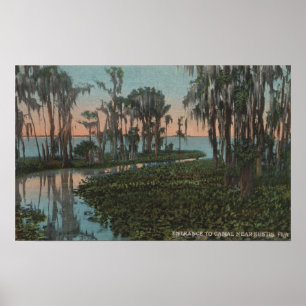 Eustis, Florida - Uitzicht van het Swampy Canal Poster