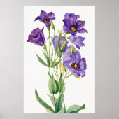 Eustoma Russelianum, Paarse Bloemen, Poster (Voorkant)
