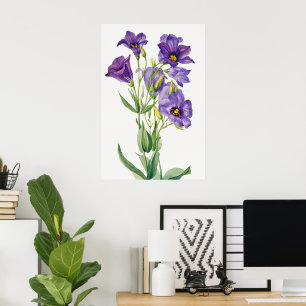 Eustoma Russelianum, Paarse Bloemen, Poster