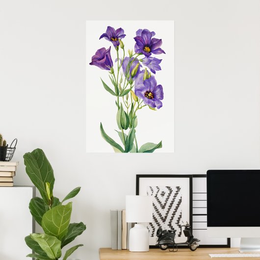 Eustoma Russelianum, Paarse Bloemen, Poster (Thuiskantoor)