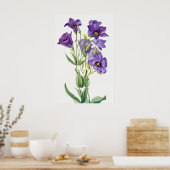 Eustoma Russelianum, Paarse Bloemen, Poster (Keuken)