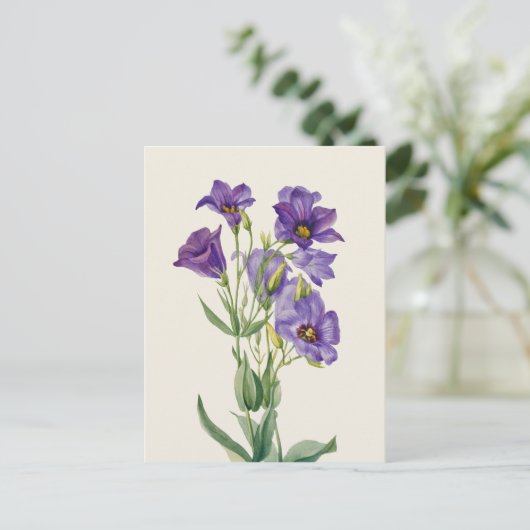  Eustoma russellianum Briefkaart (Staand voorkant)