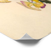  Eutoxeres Aquila Hummingbird Illustratie Poster (Hoek)