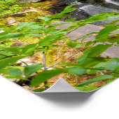 Evans Herfsten, Maine Poster (Hoek)