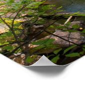 Evans Herfsten, Maine Poster (Hoek)