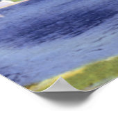 Evanston Illinois Lagoon Lake Front Park Poster (Hoek)