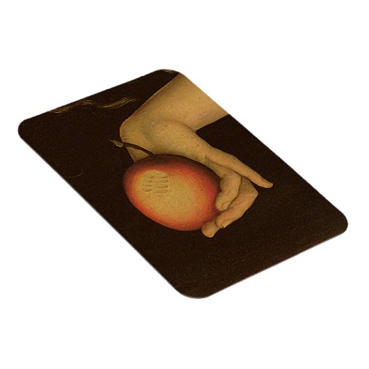 Eve. 1528 magneet (Rechterzijde)