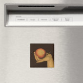 Eve. 1528 magneet (Insitu (Vaatwasser))