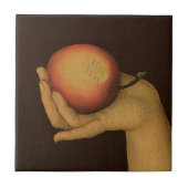 Eve. 1528 tegeltje (Voorkant)