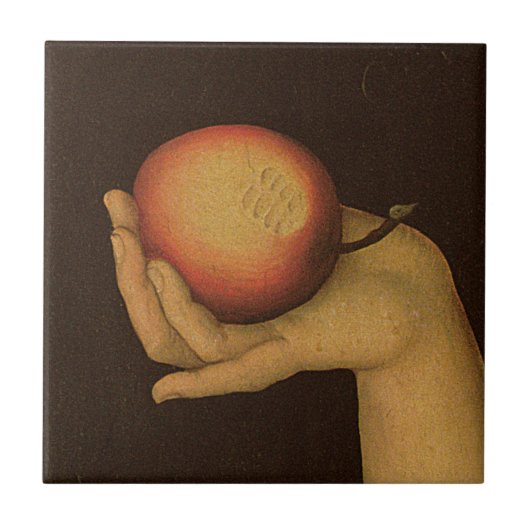 Eve. 1528 tegeltje (Voorkant)