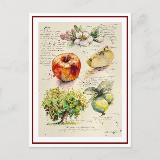 EVE Gedetailleerde illustratie van Apple Briefkaart (Voorkant)