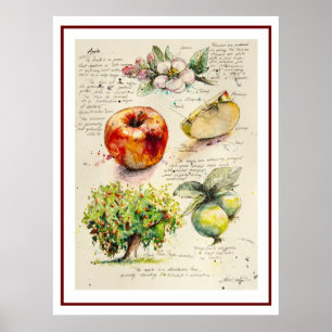 EVE Gedetailleerde illustratie van Apple Poster