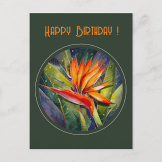 EVE Gedetineerde Strelizia Flower Briefkaart