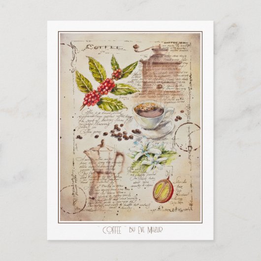 EVE GESCHEIDEN Koffie Botanische illustratie Briefkaart (Voorkant)