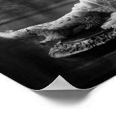 Evelyn Nesbit Poster (Hoek)