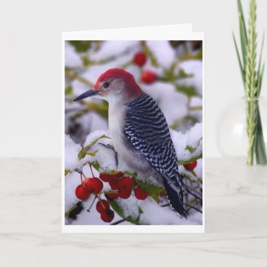 EVEN PAUZEREN VAN TWITTEREN OM GELUKKIGE VERJAARDA KAART (Voorkant)