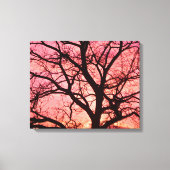 Evening Blush Tree Silhouette Canvas Afdruk (Voorkant)