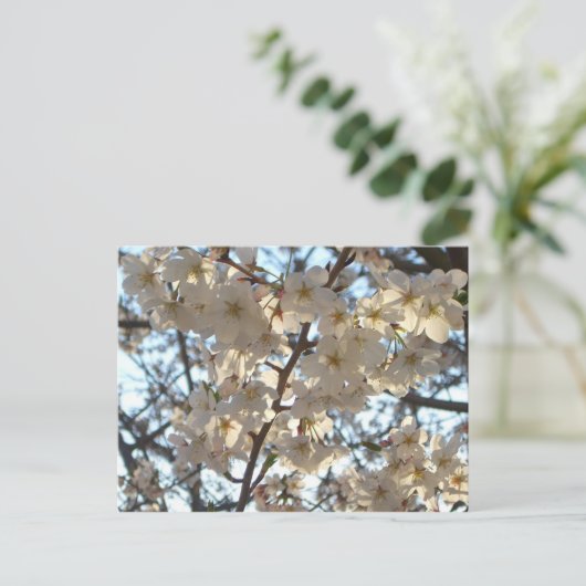 Evening Cherry Blossom I Spring Floral Briefkaart (Staand voorkant)