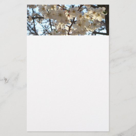Evening Cherry Blossom I Spring Floral Briefpapier (Voorkant)