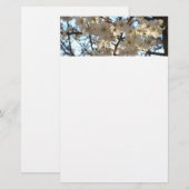Evening Cherry Blossom I Spring Floral Briefpapier (Voorkant / Achterkant)