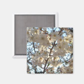 Evening Cherry Blossom I Spring Floral Magneet (Voorkant / Achterkant)