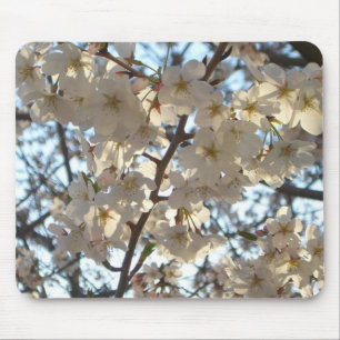 Evening Cherry Blossom I Spring Floral Muismat