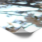 Evening Cherry Blossom I Spring Floral Poster (Hoek)