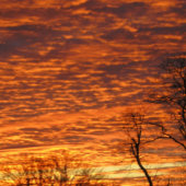 Evening Dream Notitieboek