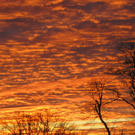 Evening Dream Notitieboek