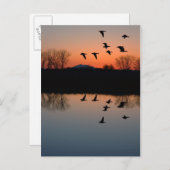 Evening Gese Briefkaart (Voorkant / Achterkant)