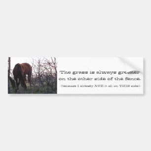 Evening Grazing Bumpersticker