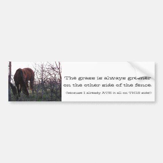 Evening Grazing Bumpersticker (Voorkant)