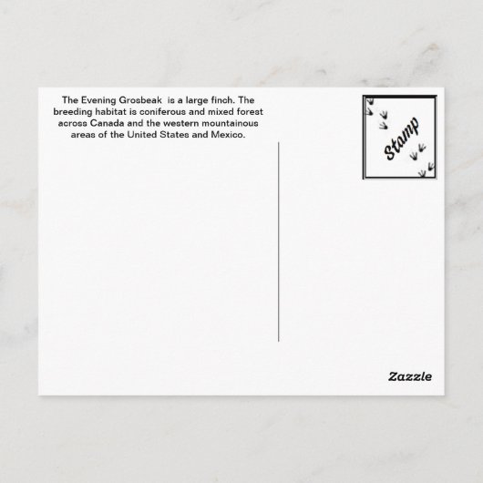 Evening Grosbeak Briefkaart (Achterkant)