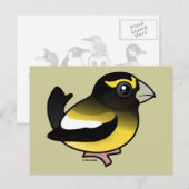 Evening Grosbeak Briefkaart (Voorkant / Achterkant)