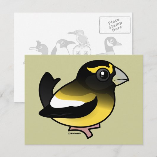 Evening Grosbeak Briefkaart (Voorkant / Achterkant)
