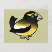 Evening Grosbeak Briefkaart (Voorkant)