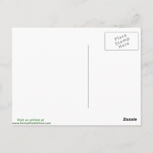 Evening Grosbeak Briefkaart (Achterkant)