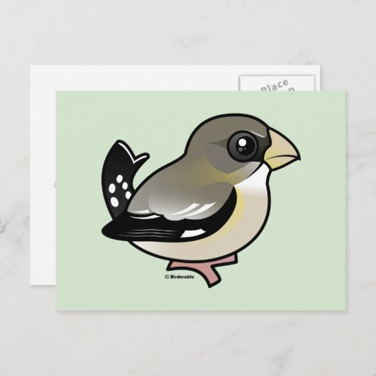 Evening Grosbeak (f) Briefkaart (Voorkant / Achterkant)