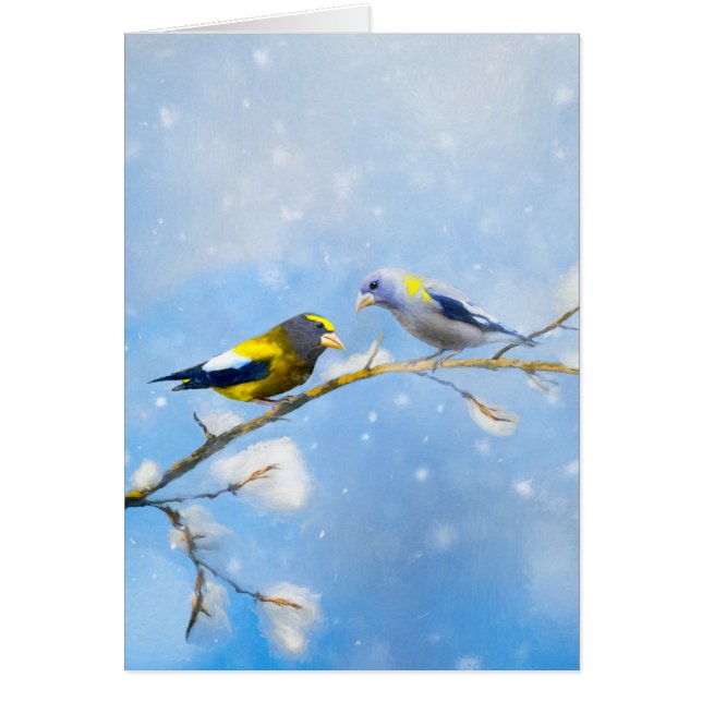Evening Grosbeak schilderen - Kute Original Dog Ar (Voorkant)