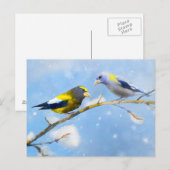 Evening Grosbeak schilderen - Kute Original Dog Ar Briefkaart (Voorkant / Achterkant)
