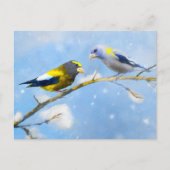Evening Grosbeak schilderen - Kute Original Dog Ar Briefkaart (Voorkant)