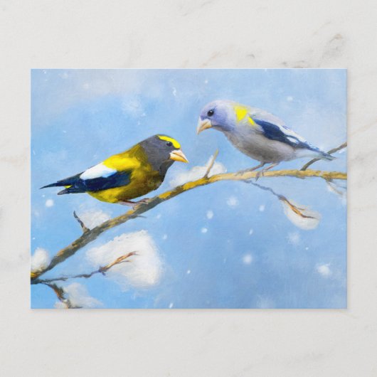 Evening Grosbeak schilderen - Kute Original Dog Ar Briefkaart (Voorkant)